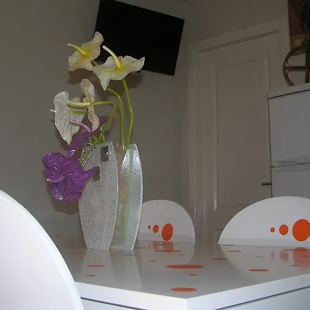 Apartamento Casa Beleza