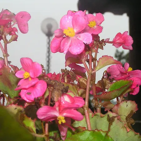 Apartamento Casa Beleza *