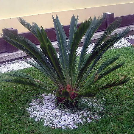 Casa Beleza